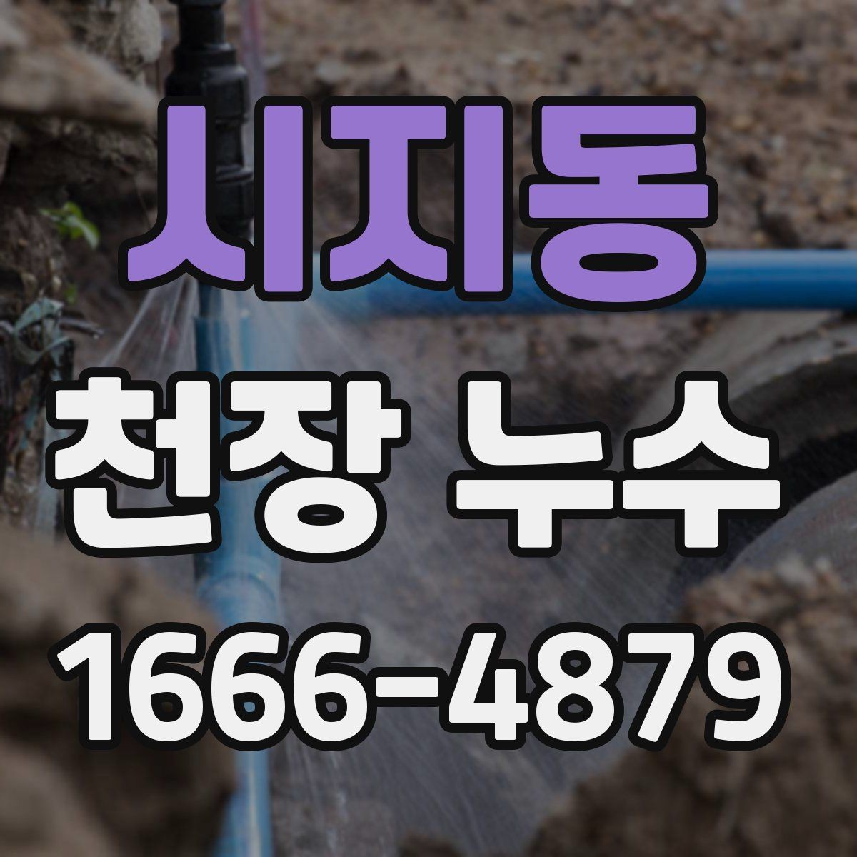 시지동 천장 누수 구조물 손상이 걱정될 때