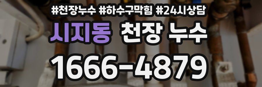 시지동 천장 누수