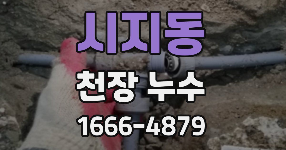 시지동 천장 누수