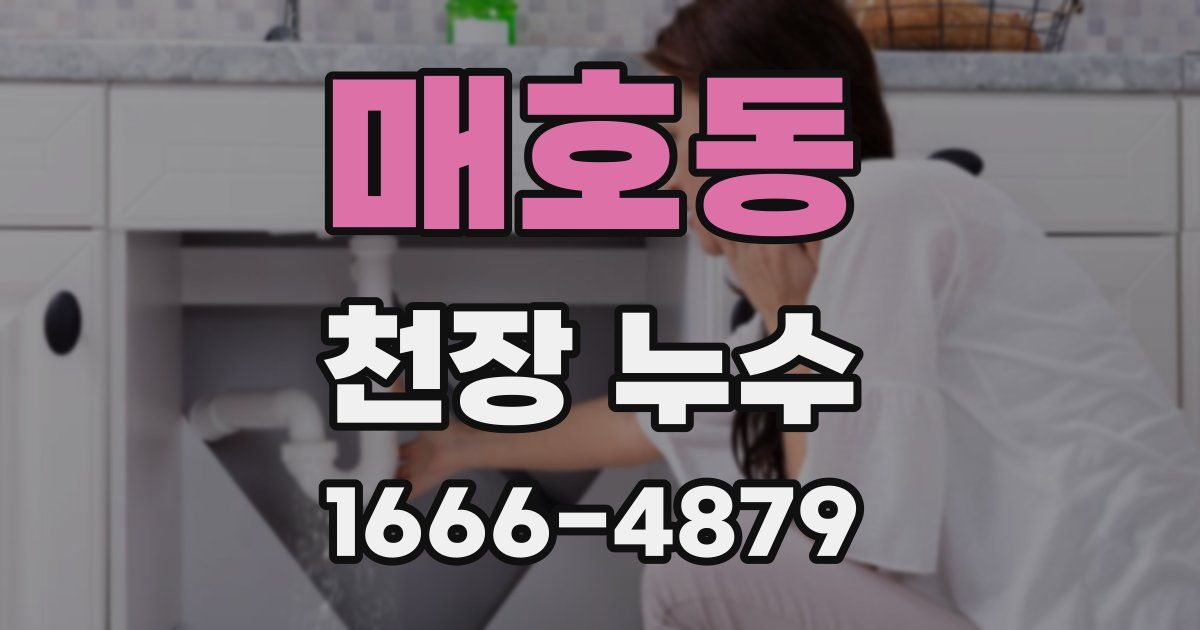 매호동 천장 누수