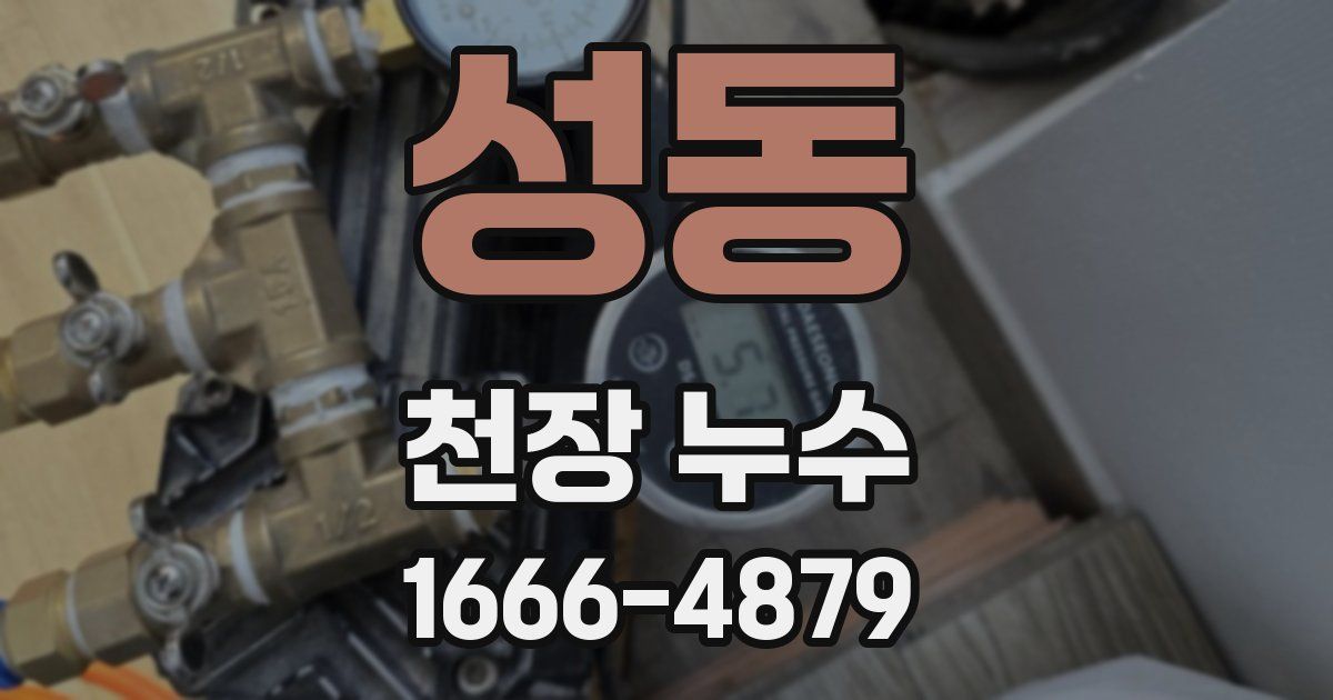 성동 천장 누수