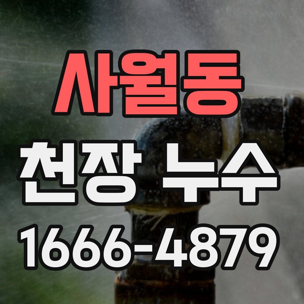 사월동 천장 누수 천장 누수 방치하면 석고가 무너질 수 있어요