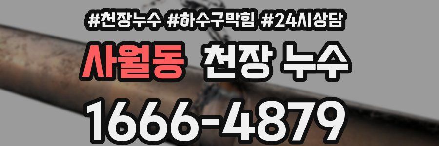 사월동 천장 누수