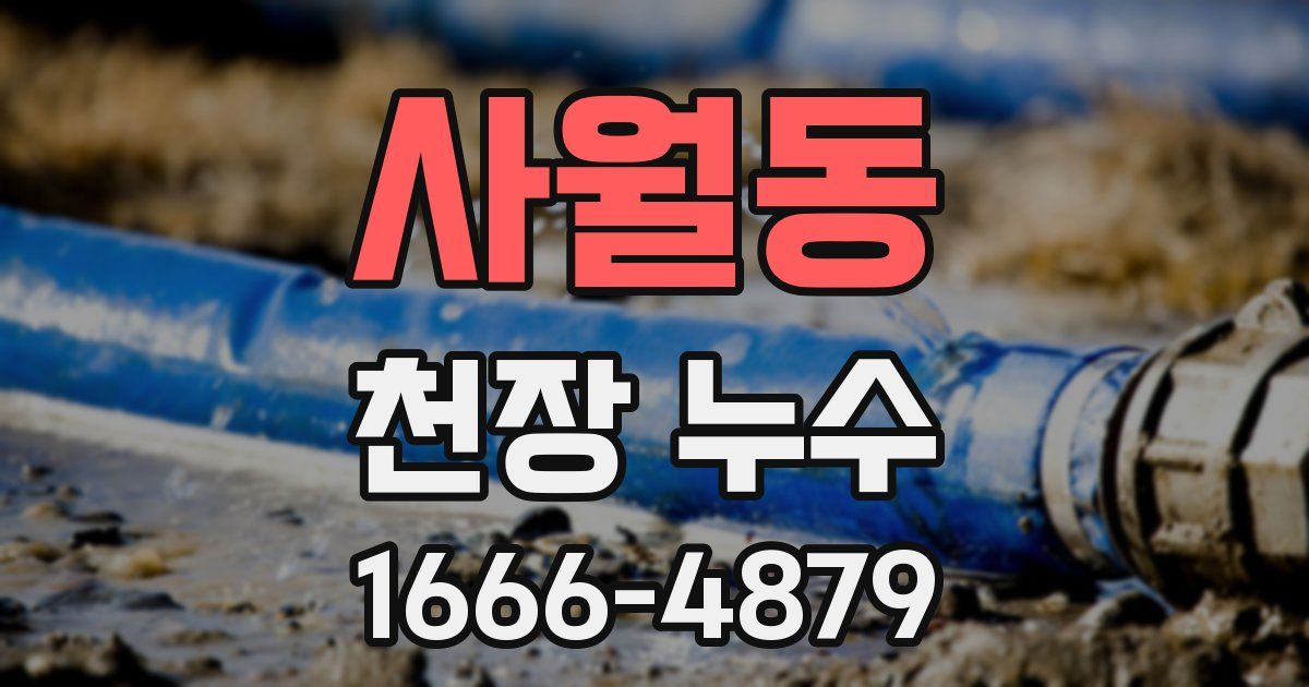 사월동 천장 누수