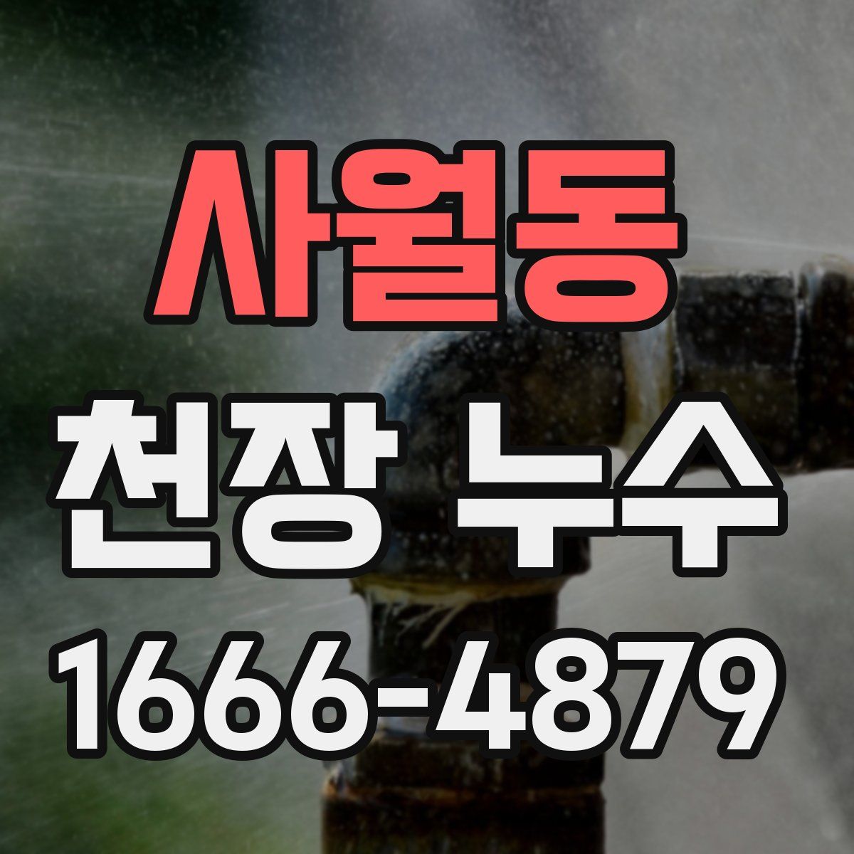 사월동 천장 누수