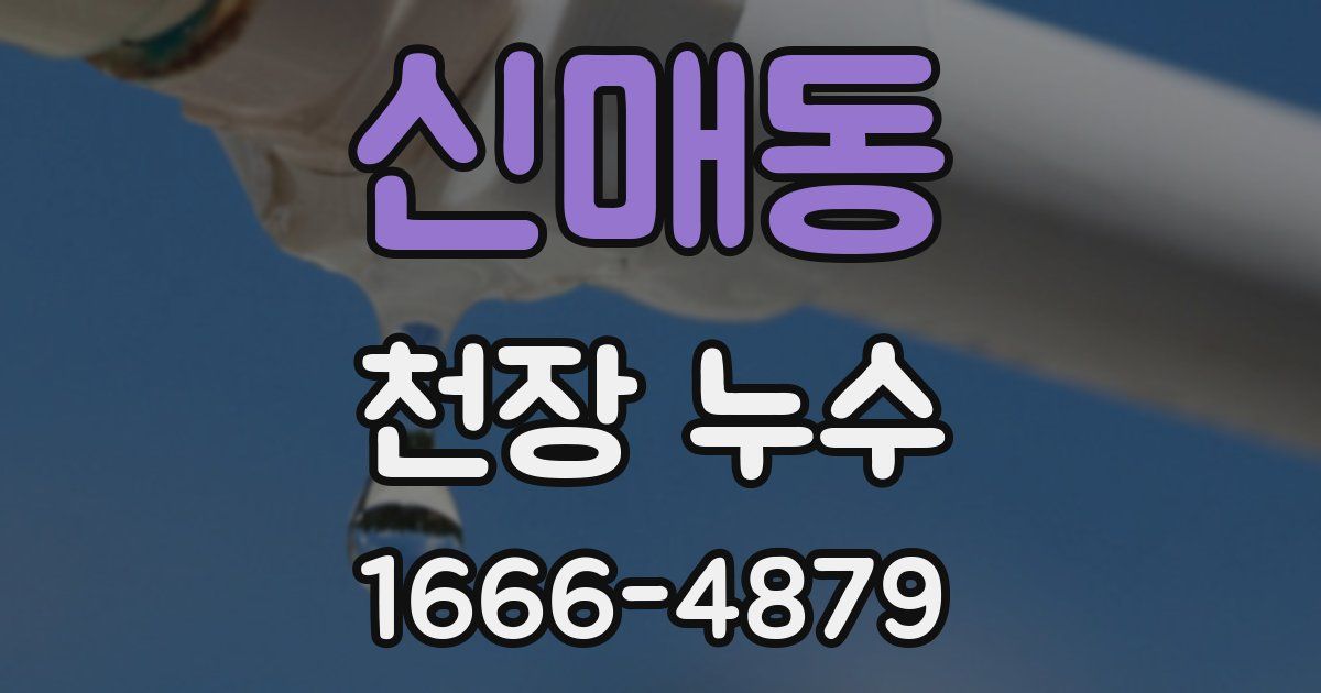 신매동 천장 누수