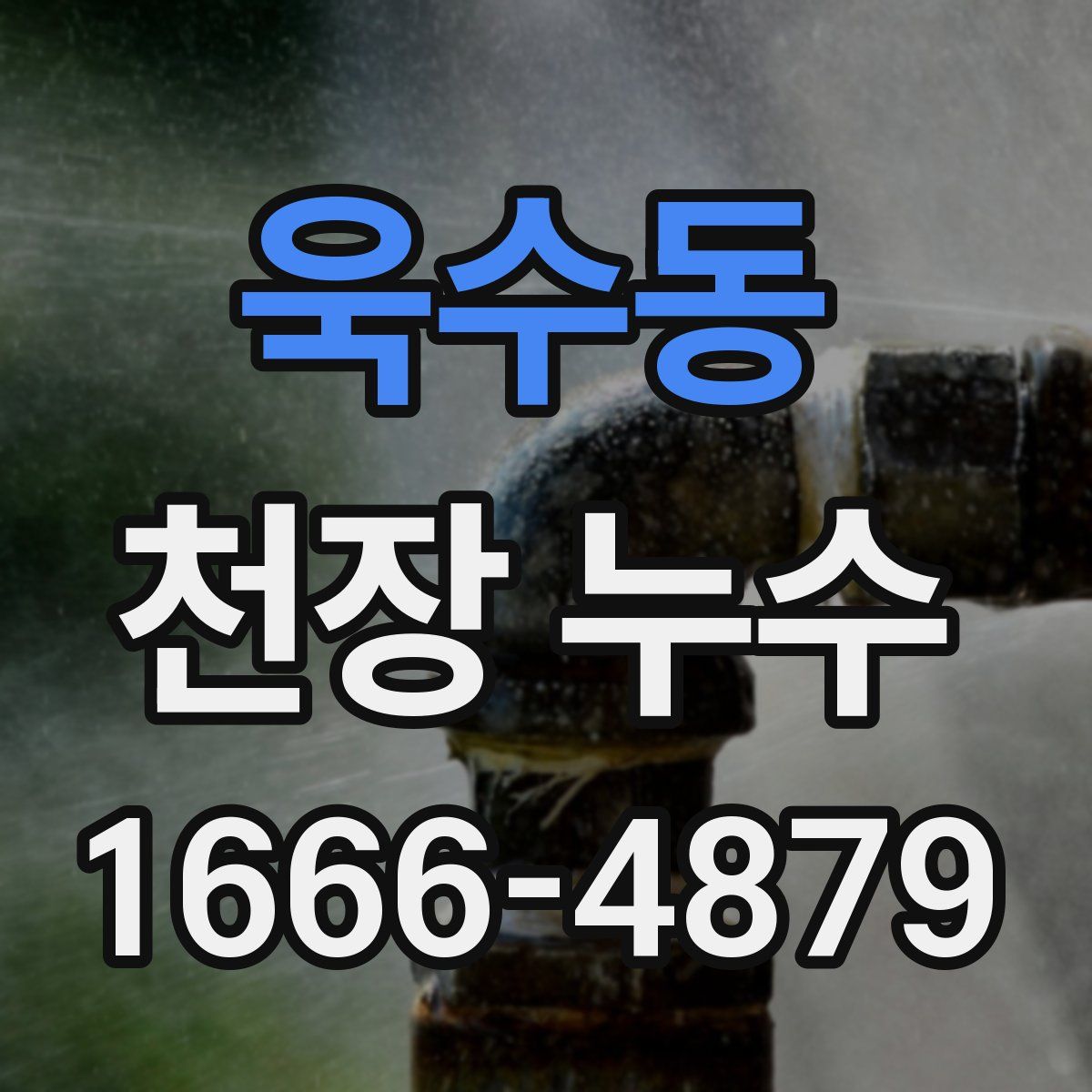 욱수동 천장 누수