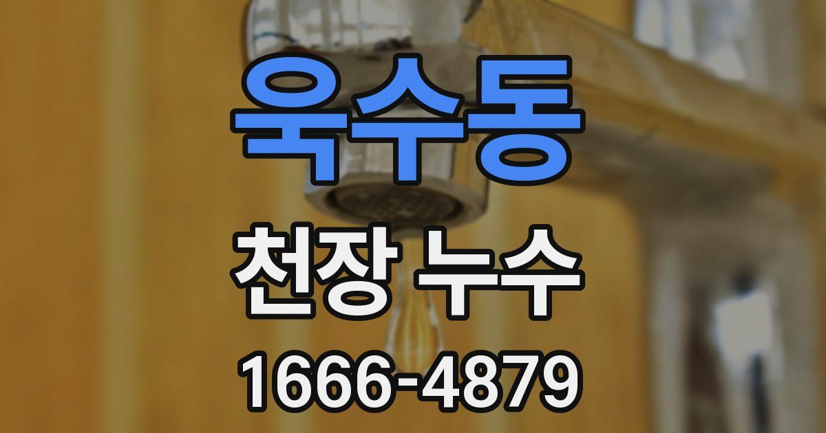 욱수동 천장 누수