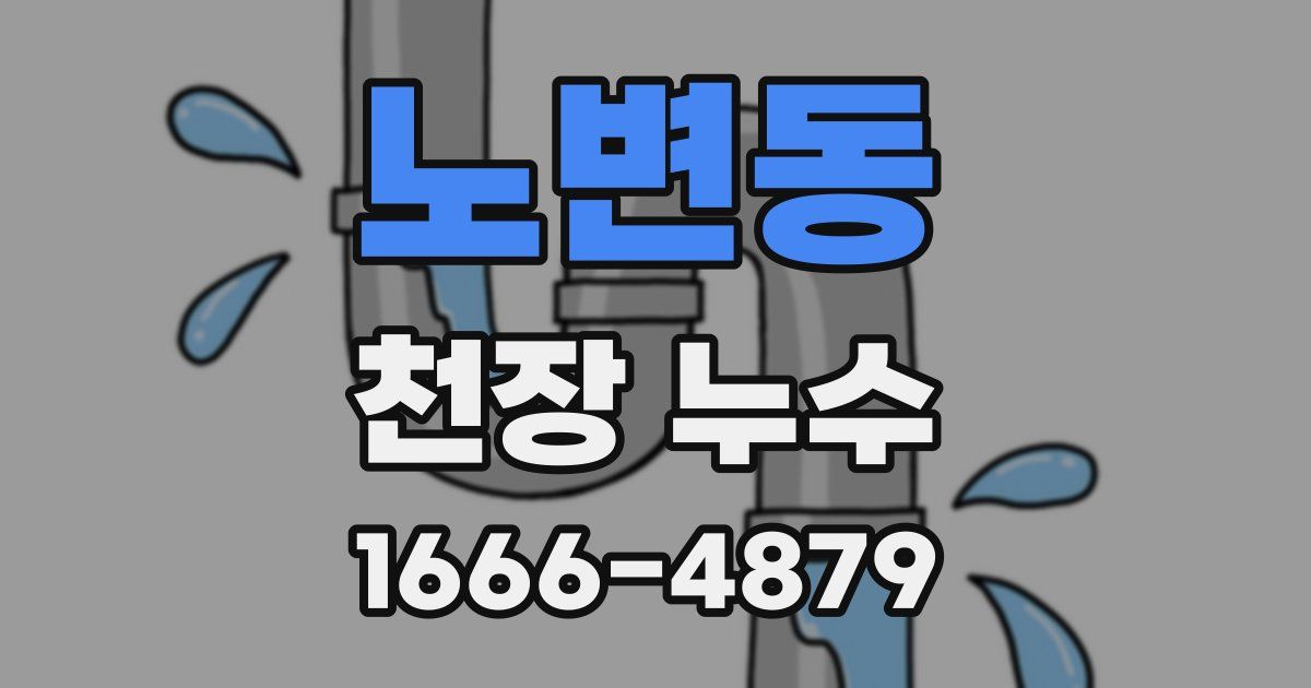 노변동 천장 누수