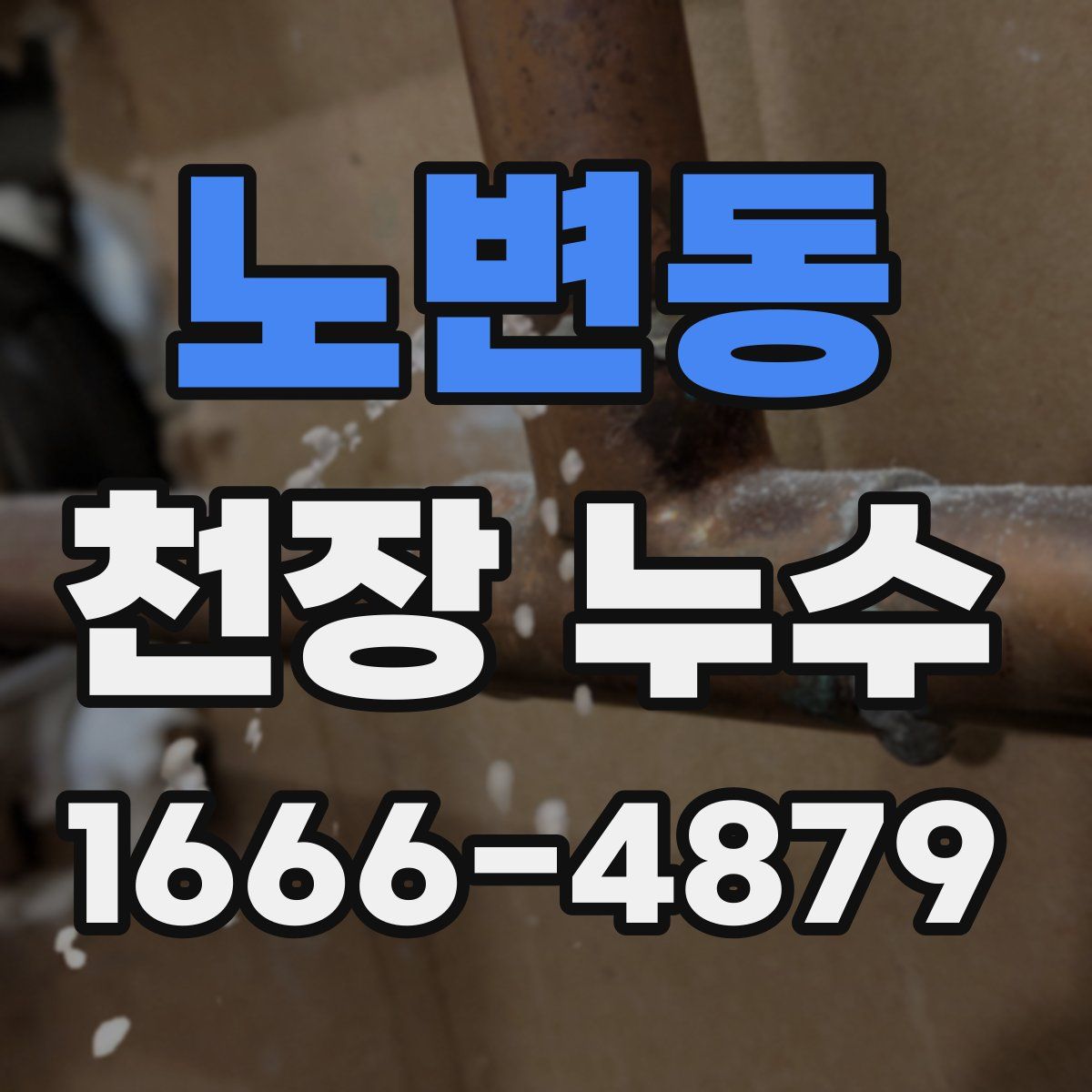 노변동 천장 누수