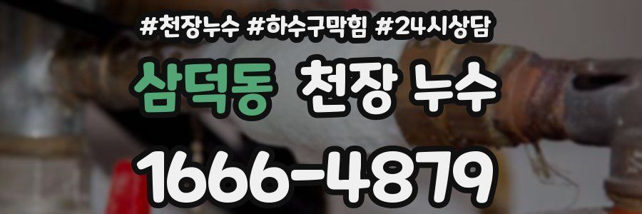 삼덕동 천장 누수