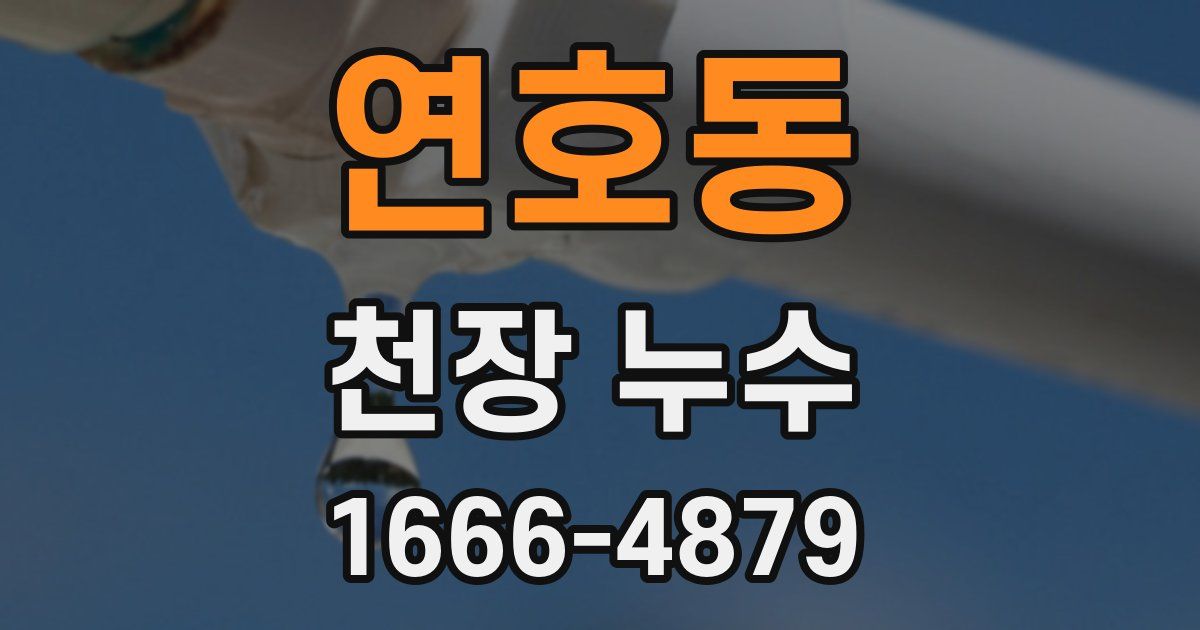 연호동 천장 누수