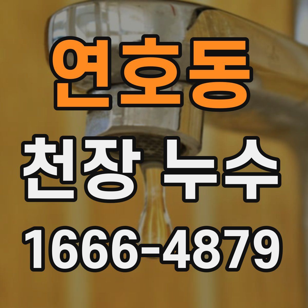 연호동 천장 누수