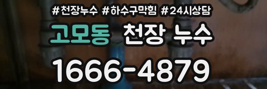 고모동 천장 누수