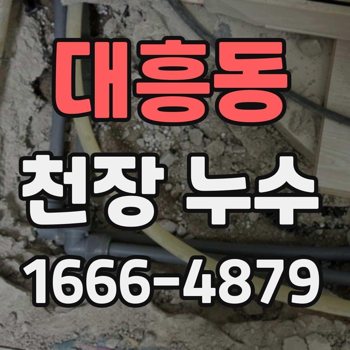 대흥동 천장 누수 천장 누수 후 습기 제거가 중요한 이유