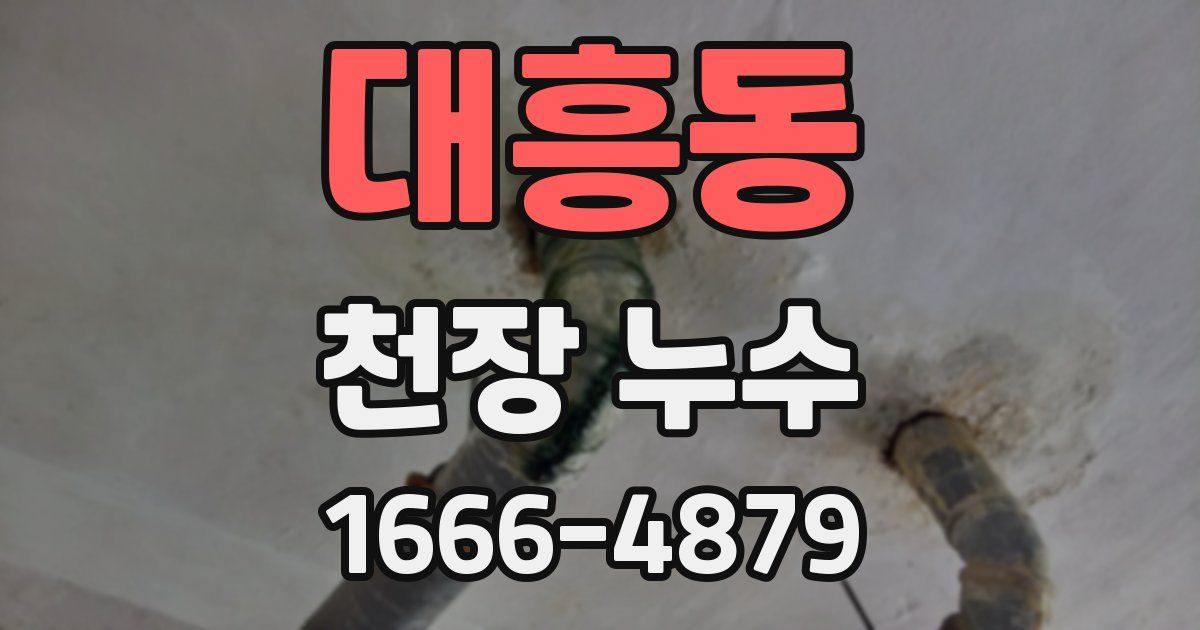 대흥동 천장 누수