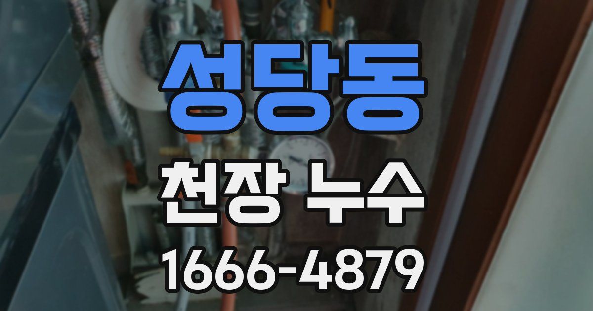 성당동 천장 누수