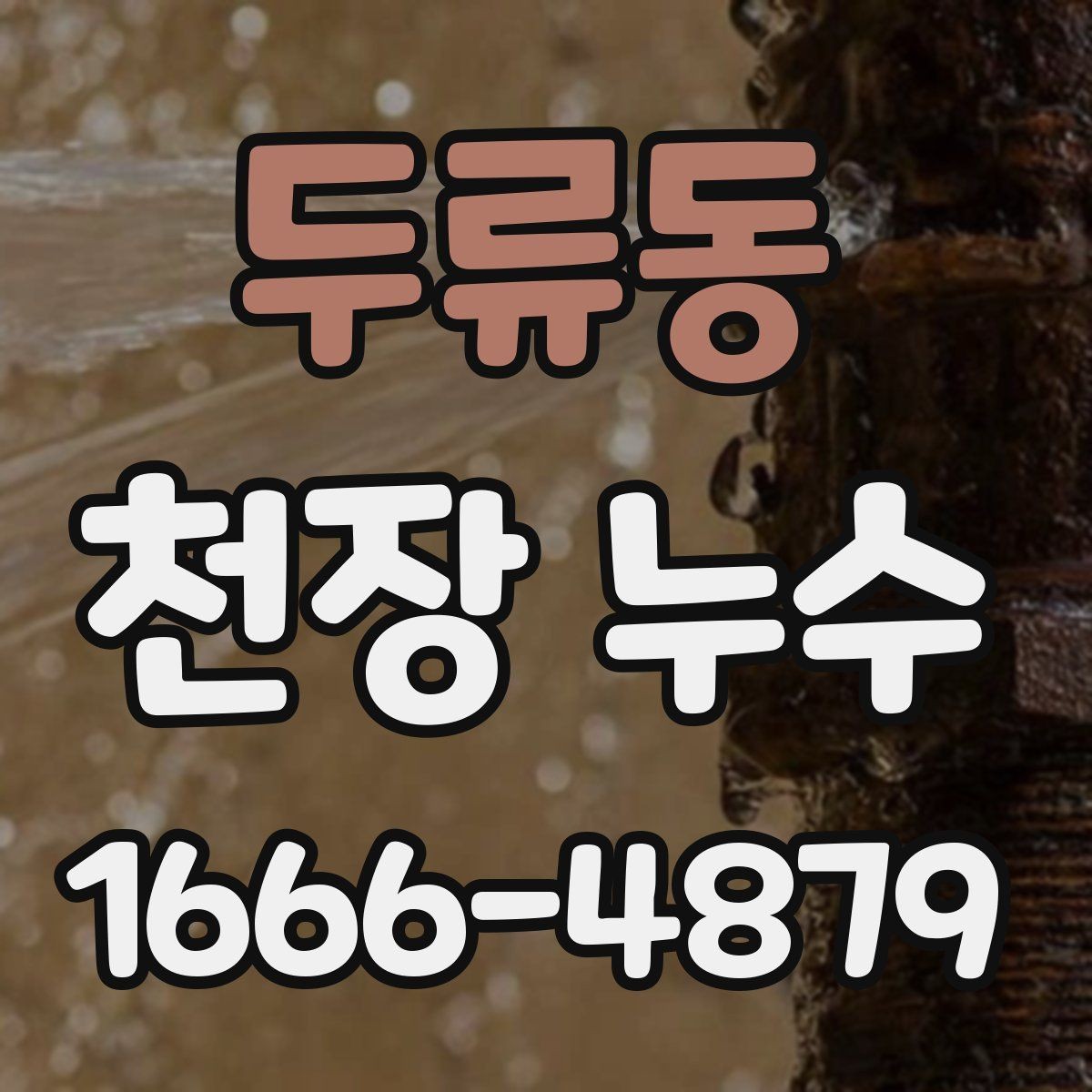 두류동 천장 누수 점검구 주변이 축축하면 위층 배관 가능성