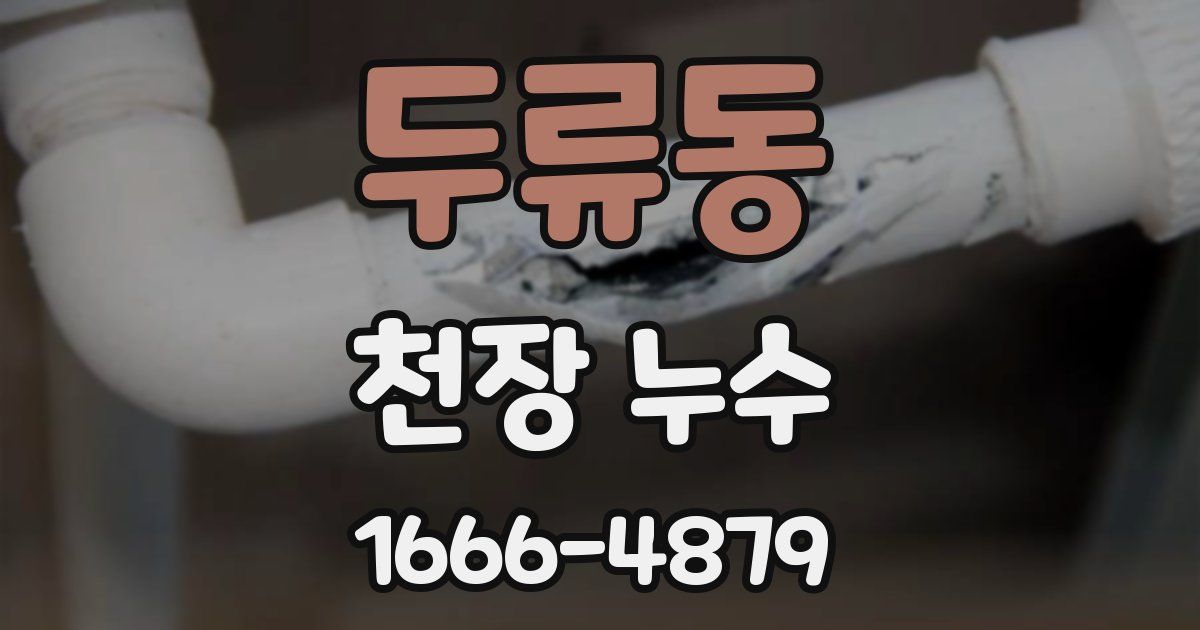 두류동 천장 누수