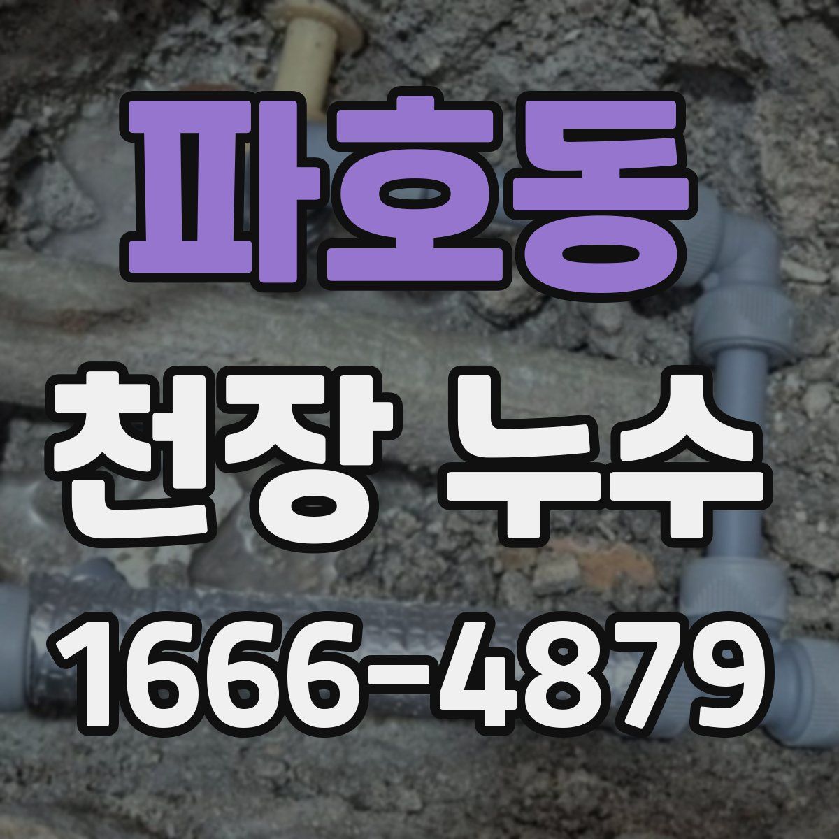 파호동 천장 누수