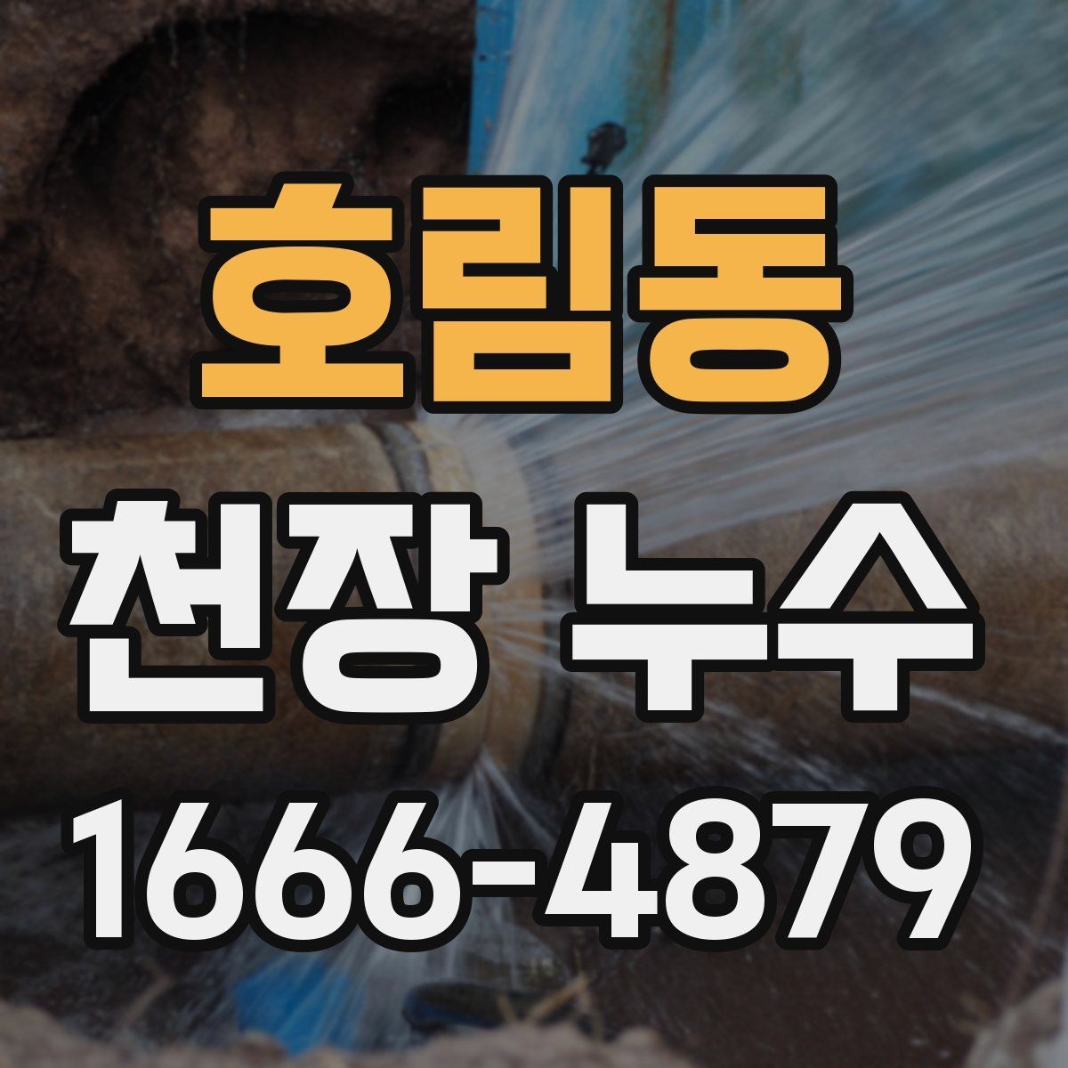 호림동 천장 누수 바닥까지 물이 떨어지기 전