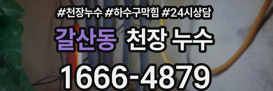 갈산동 천장 누수