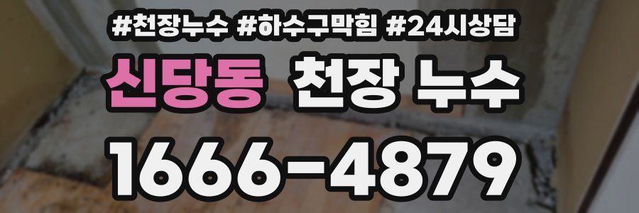 신당동 천장 누수