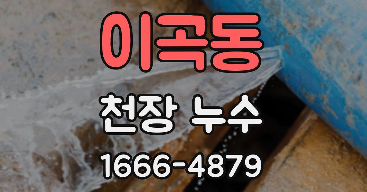 이곡동 천장 누수