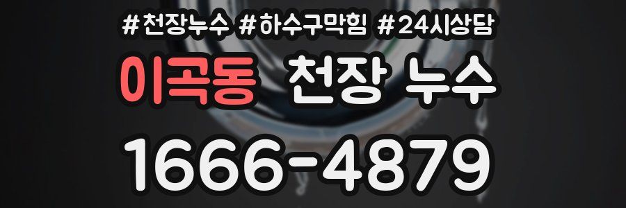 이곡동 천장 누수