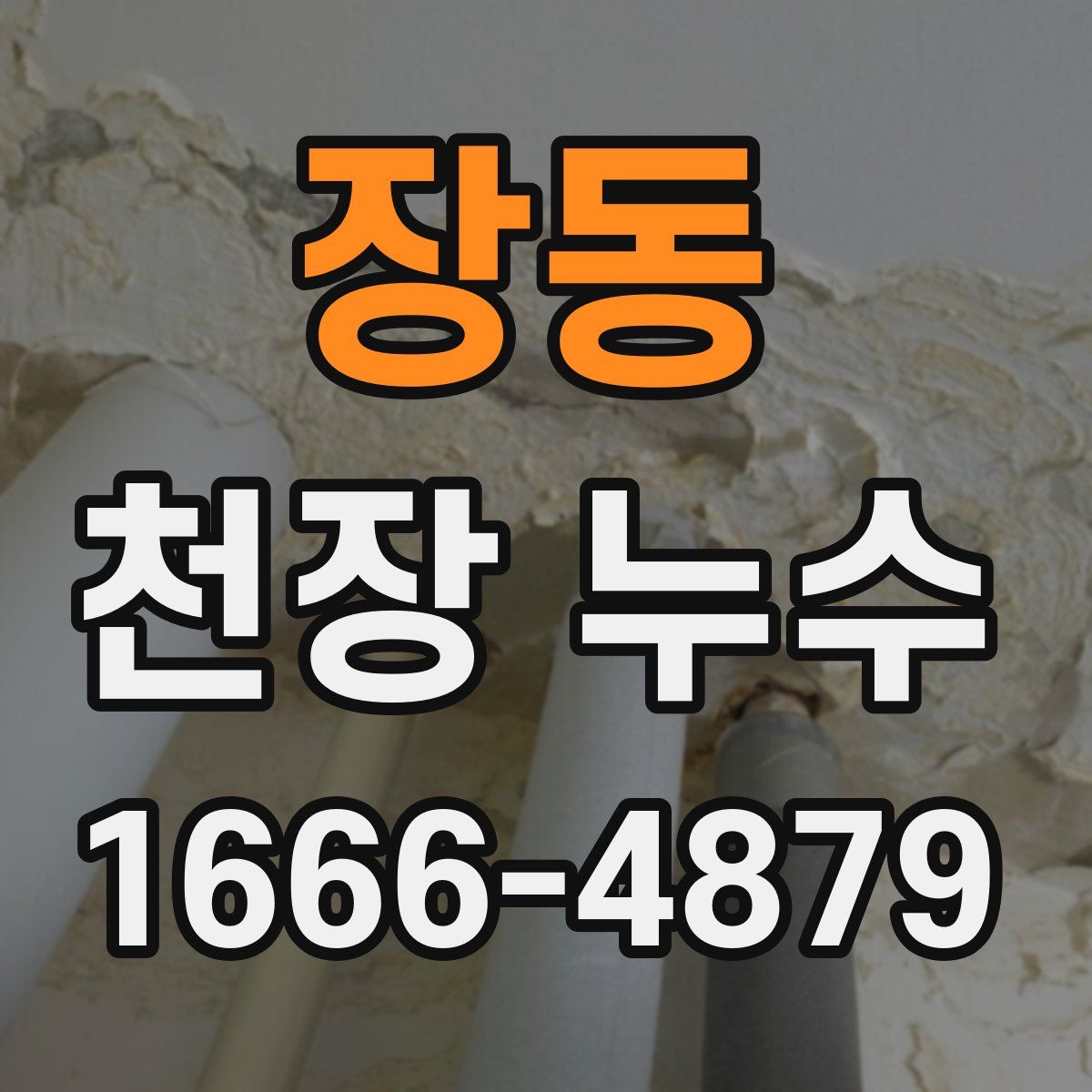 장동 천장 누수