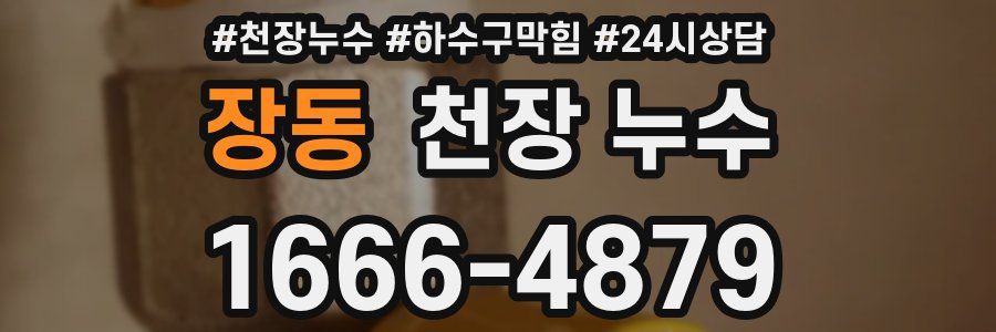 장동 천장 누수