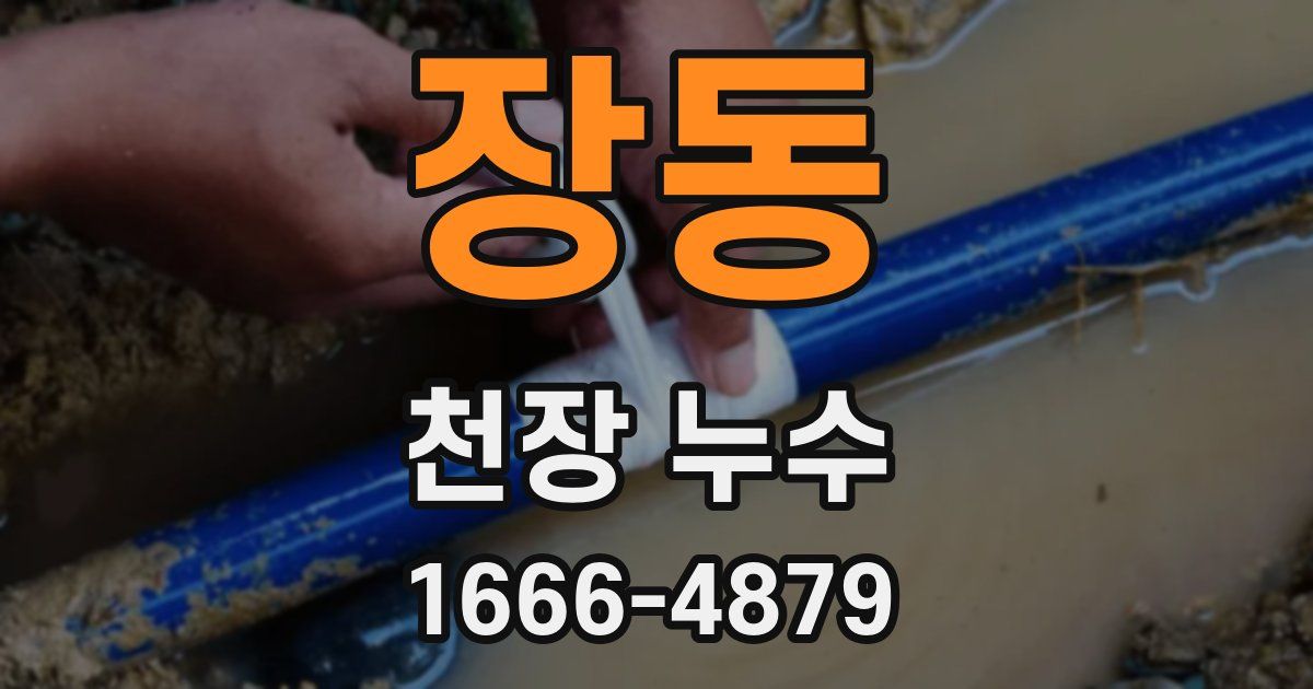 장동 천장 누수