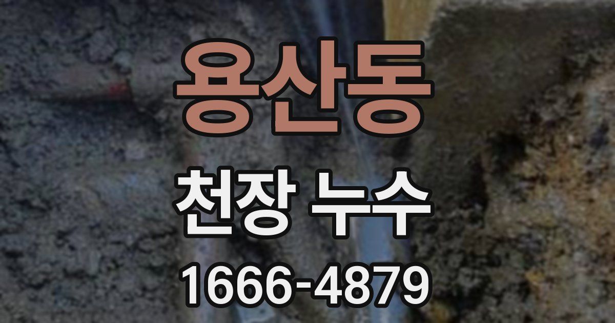 용산동 천장 누수