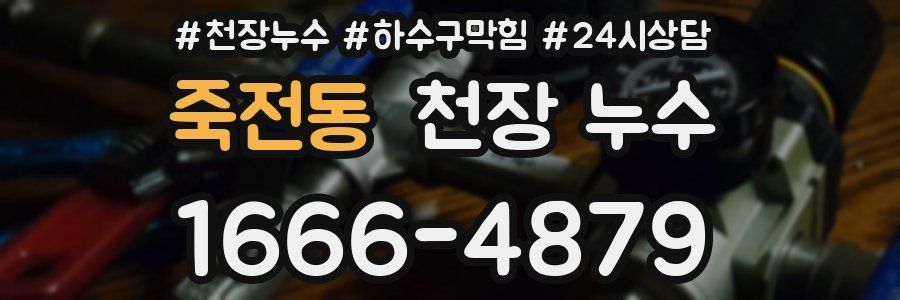 죽전동 천장 누수