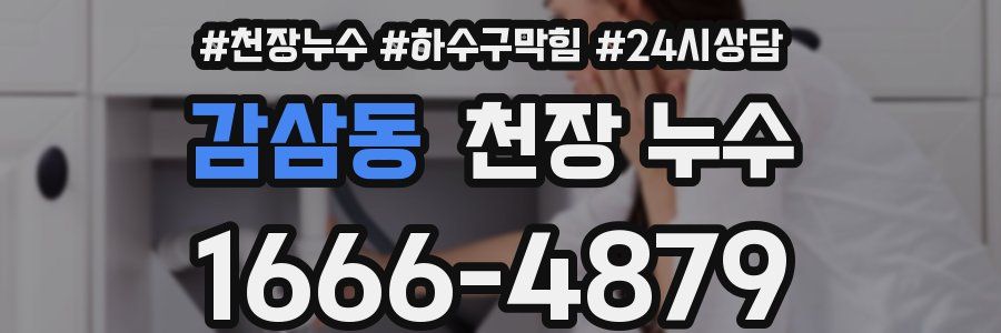 감삼동 천장 누수