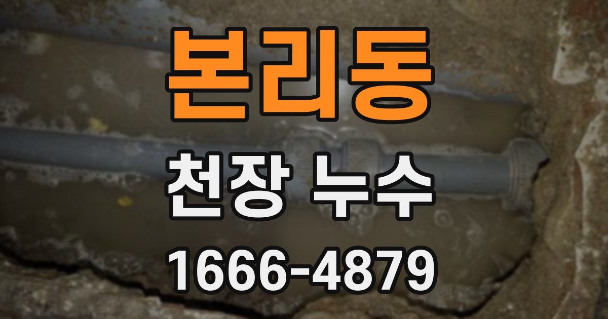 본리동 천장 누수
