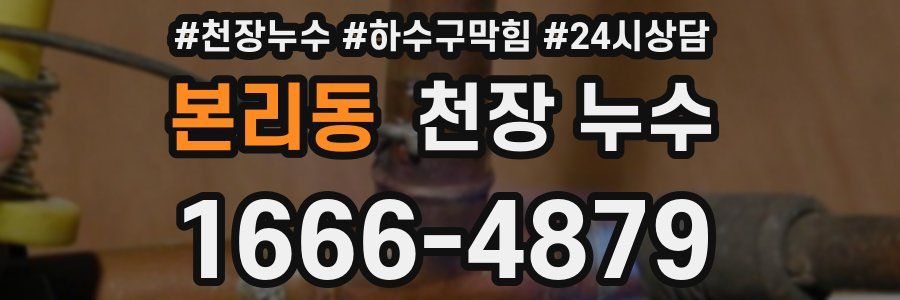 본리동 천장 누수