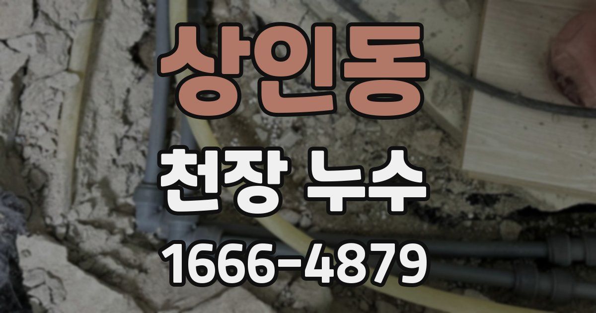 상인동 천장 누수