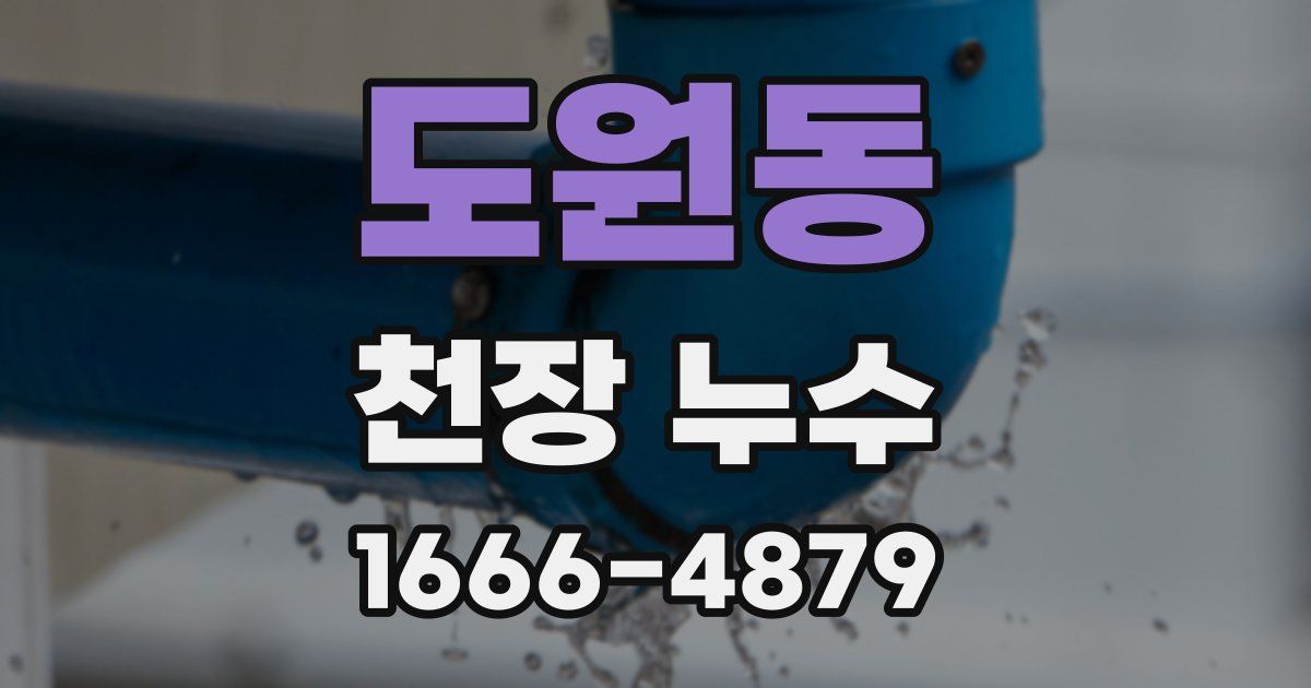 도원동 천장 누수