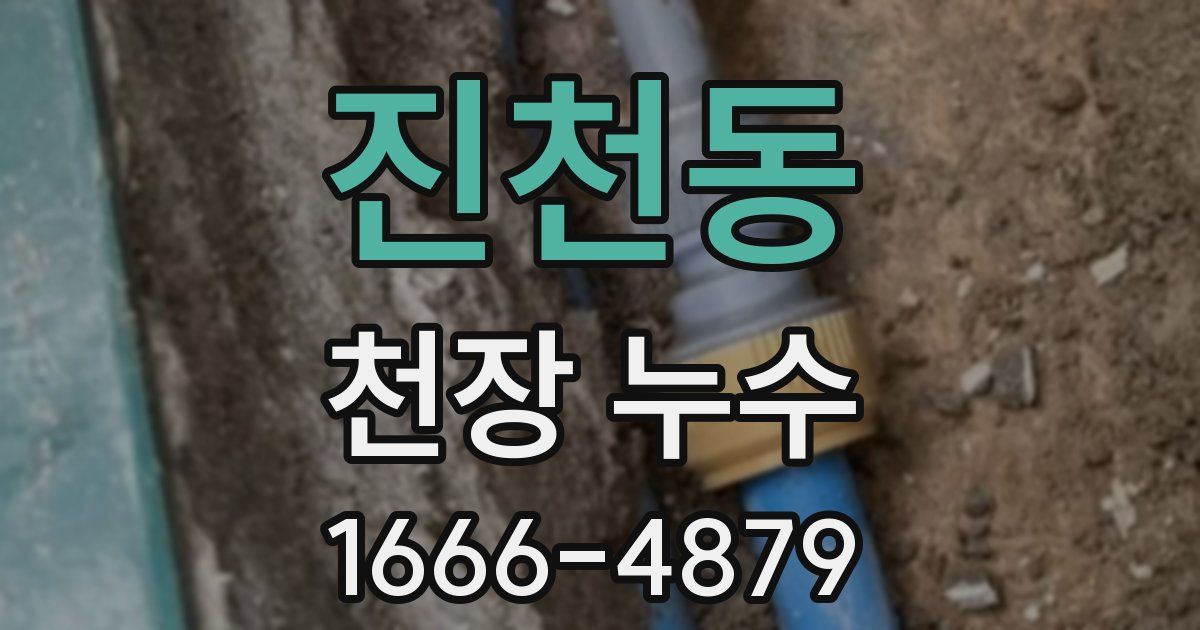 진천동 천장 누수