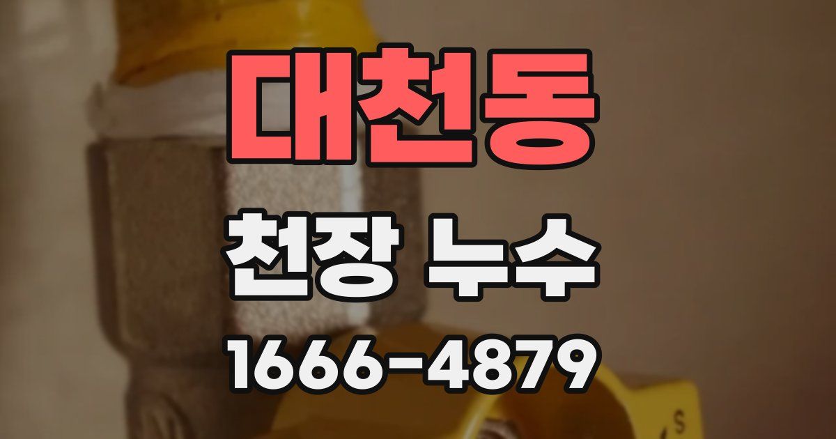 대천동 천장 누수