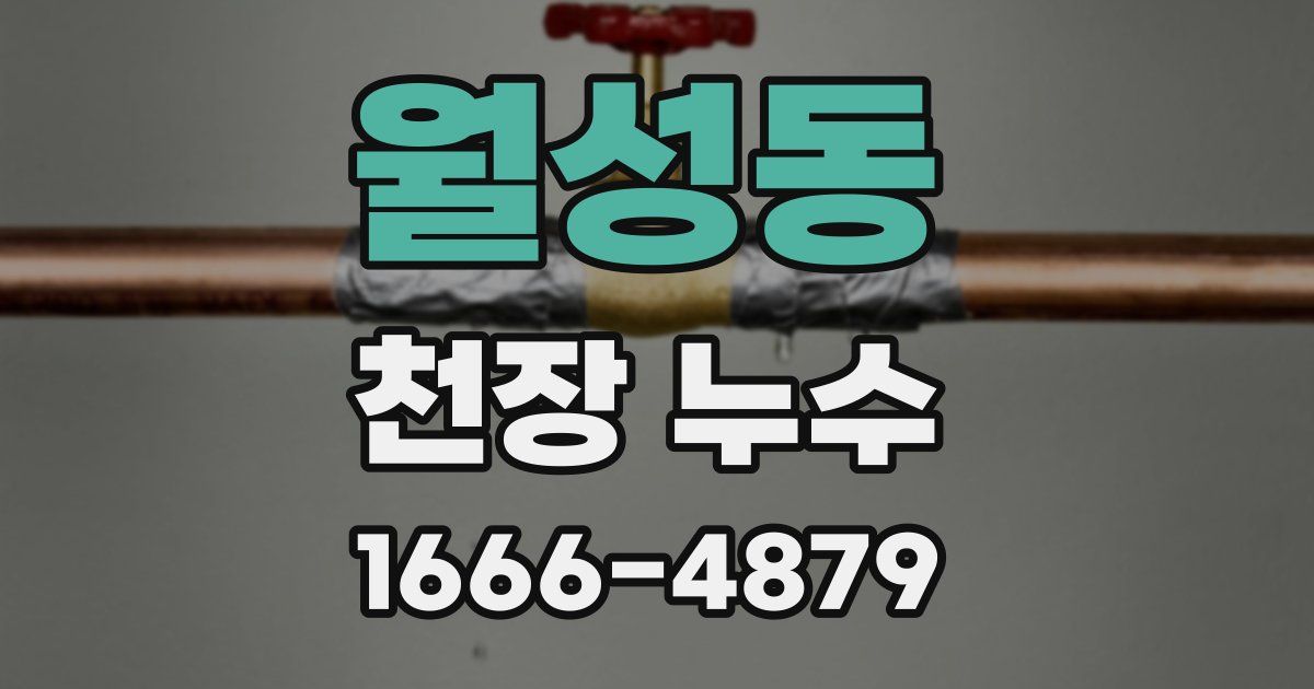 월성동 천장 누수