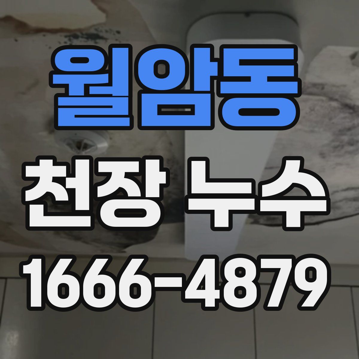 월암동 천장 누수