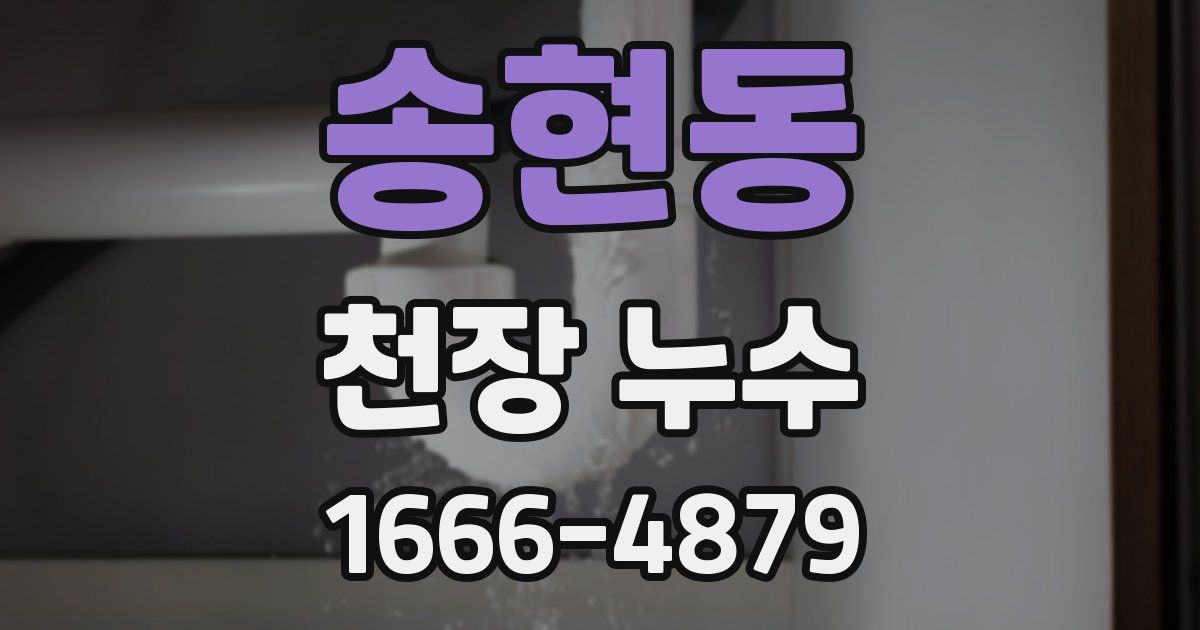 송현동 천장 누수