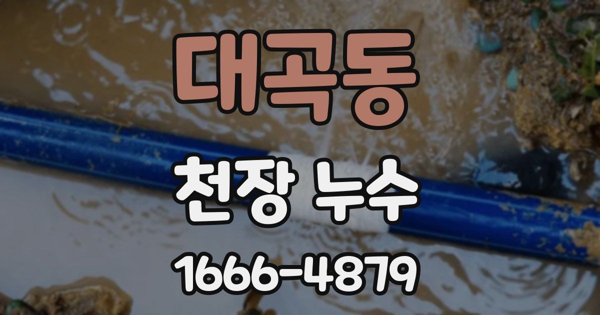 대곡동 천장 누수