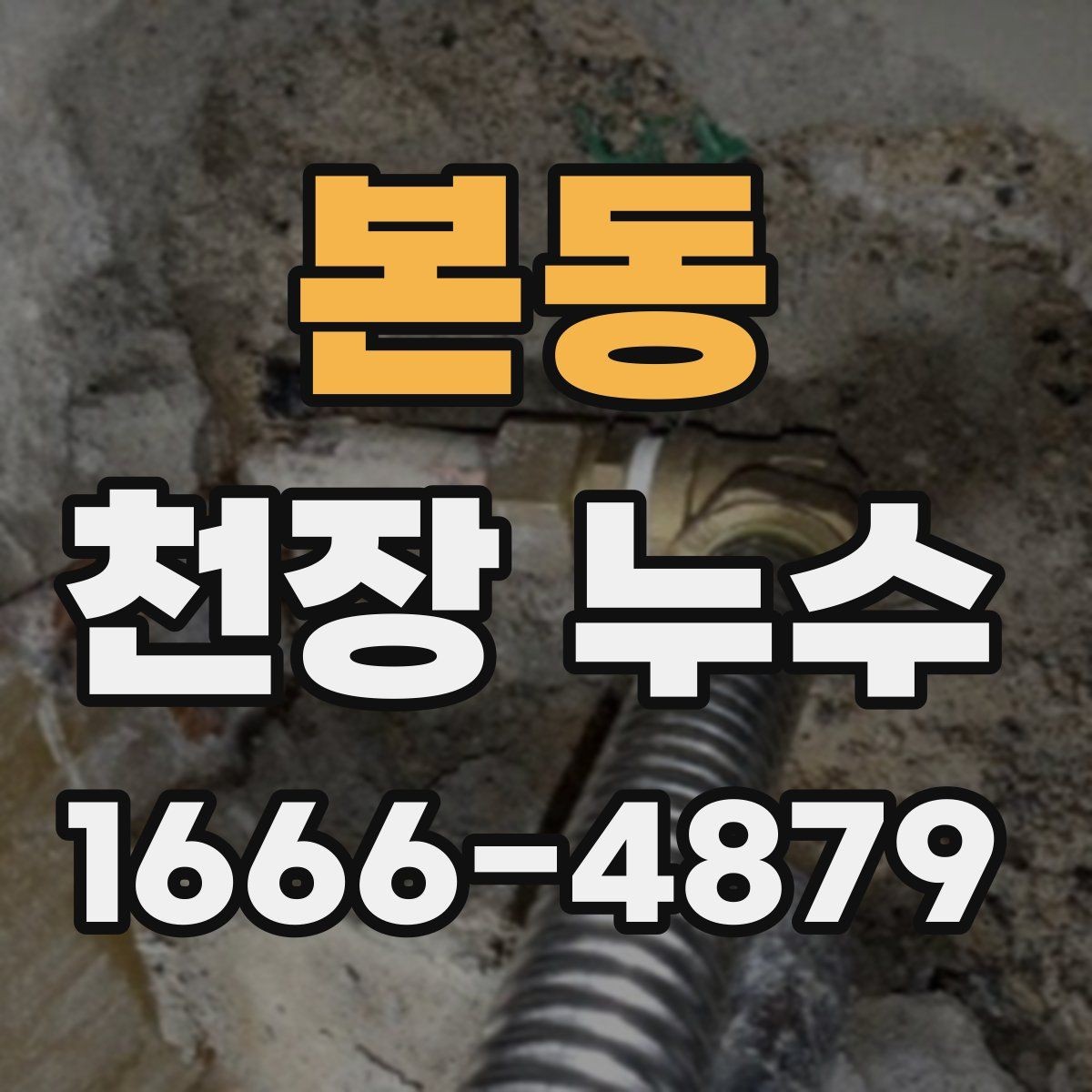 본동 천장 누수 천장에 물방울이 맺히면 바로 점검해야 합니다
