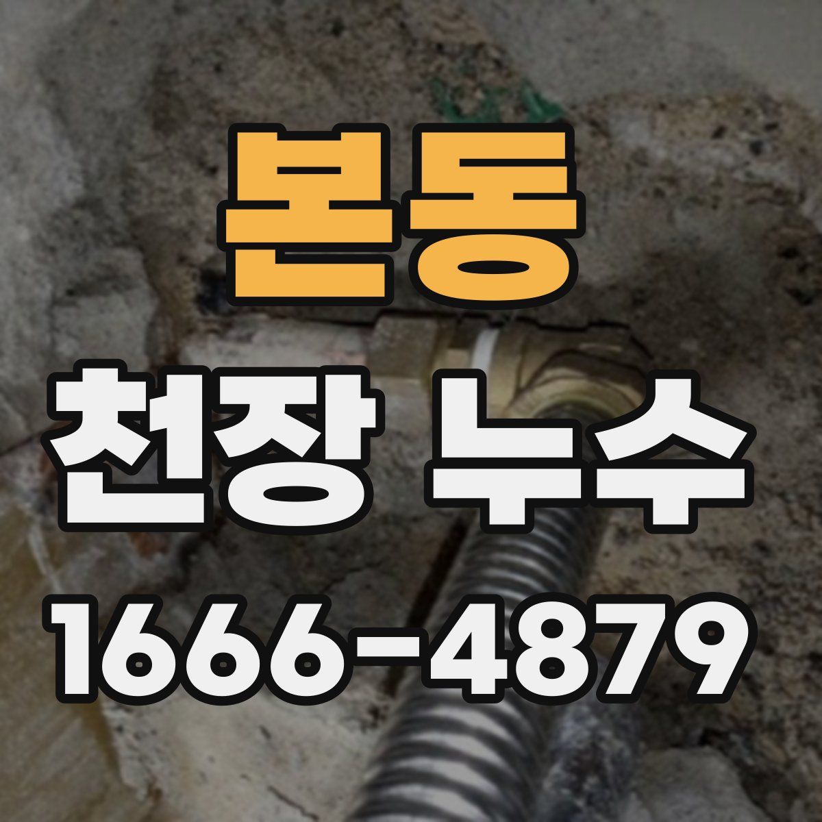 본동 천장 누수