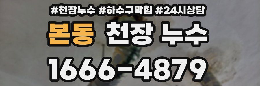 본동 천장 누수