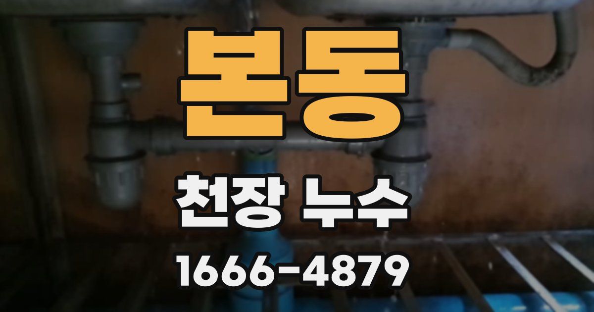 본동 천장 누수