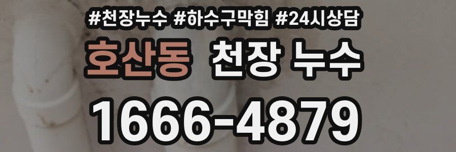 호산동 천장 누수